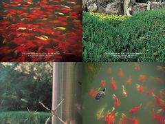 -大连植物园