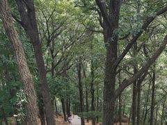 -沂蒙山旅游区云蒙景区(蒙山国家森林公园)