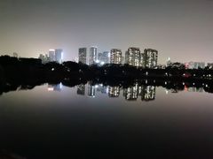 -福田红树林生态公园