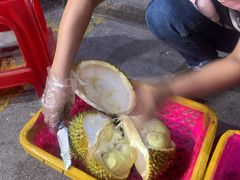 -三亚新鸿港水果一级批发市场