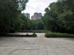 -黑龙江省森林植物园