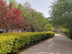 -桃花堤公园