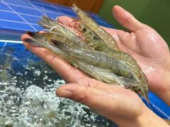 -0048鲜活香辣虾·火锅(铜陵路店)