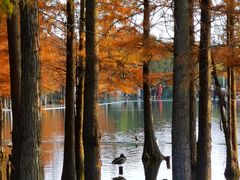 -白鹭湾湿地公园