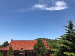 -龙口南山旅游景区