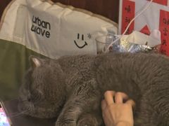 -吹泡·Triphop(棋盘店)