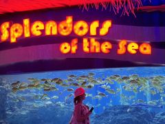 -海合安成都极地海洋公园