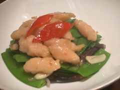 -觅唐MITONG(鸟巢店)