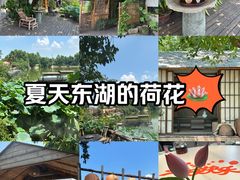 -东湖生态旅游风景区