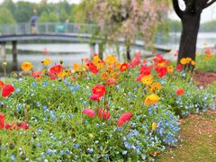 -上海辰山植物园