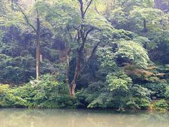 -岳麓山风景名胜区