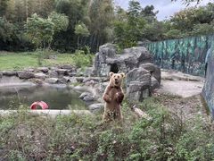 -宁波野生动物园