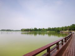 -北京麋鹿生态实验中心