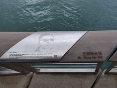 -星光大道