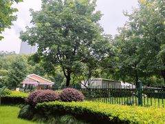 -新虹桥中心花园