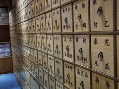-中国宋庆龄青少年科技文化交流中心