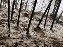 -径山寺
