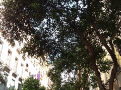 -太阳门广场
