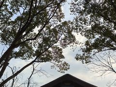 -长广溪湿地公园