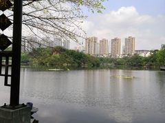 -重庆彩云湖湿地公园