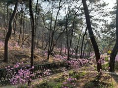 -红螺寺