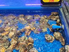 -万宝海鲜舫(劳动公园店)