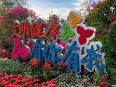 -莲花山公园