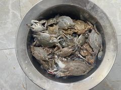 -日照海滨国家森林公园