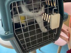 -宠颐生宠物医院·异宠猫科内科·诊疗中心宠巢店