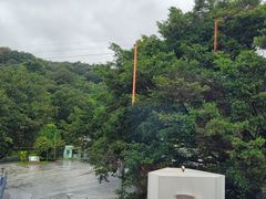 -点都德(广州白云山景区南门店)