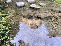 -雁荡山大龙湫景区