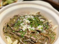 烧椒鳝丝-毗陵醉·黑钻(湖塘店)