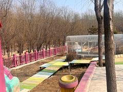 -西部长青自然儿童乐园