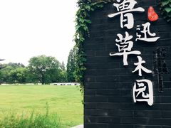 -鲁镇