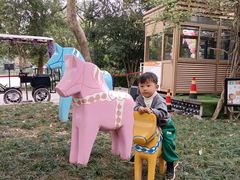 -杭州少年儿童公园