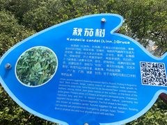 -北海金海湾红树林生态旅游区