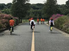 -松山湖南湖湾露营营地