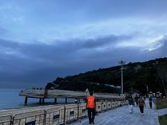 -大梅沙海滨公园-停车场