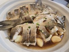 -单家老院·院子里的青岛菜(沙子口店)