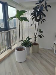 -HEYAN荷妍专业脱毛连锁机构