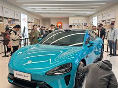 -小米之家汽车(永旺梦乐城店)