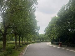 -九江市博物馆