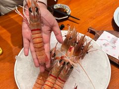 -月龍吟(朝龙汇店)
