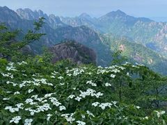 -黄山风景区