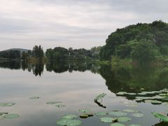 -上海市保健医疗中心