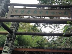 -牛背梁国家森林公园