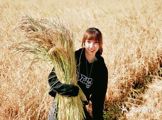 特别有意义的参观，“海水稻”试验示范种植基地