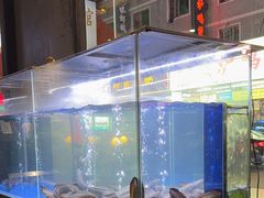 -本炙炭烤·蒲烧活鳗料理店(金沙洲店)