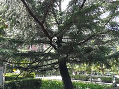-康庄公园