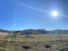 -哈尔滨北方森林动物园